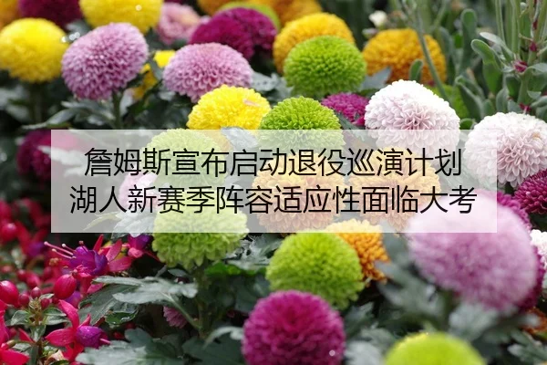 zhan-mu-si-xuan-bu-qi-dong-tui-yi-xun-yan-ji-hua-hu-ren-xin-sai-ji-zhen-rong-shi-ying-xing-mian-lin-da-kao-2-116.jpg
